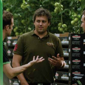 Producteur de tomates serre Aisprid Bretagne