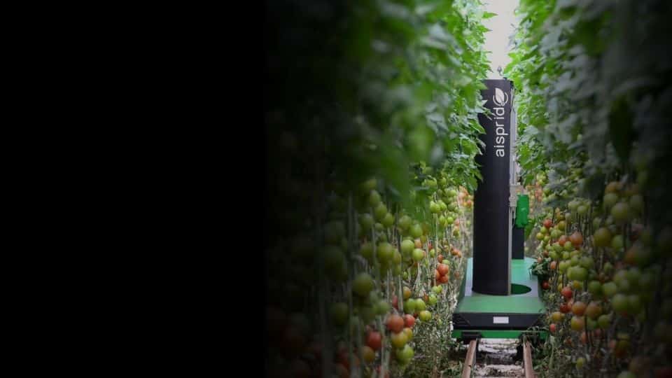 robot effeuillage aisprid