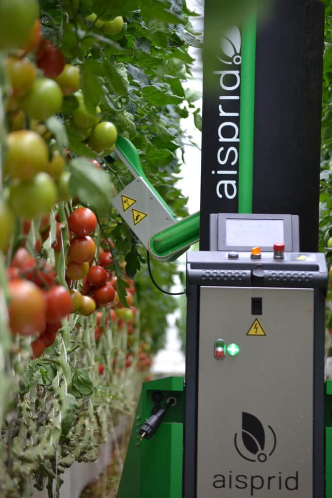 Robot Aisprid coupe rang de tomates grappes serres high-tech