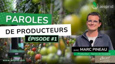 Paroles de producteurs #1 : Marc Pineau (Serres de Goulaine) Aisprid