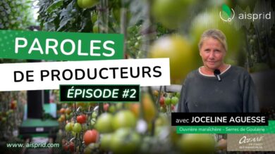 Paroles de producteurs #2 : Joceline Aguesse (Serres de Goulaine) Aisprid