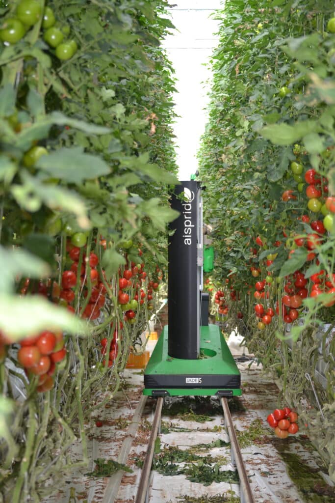 robot aisprid rang tomates serre