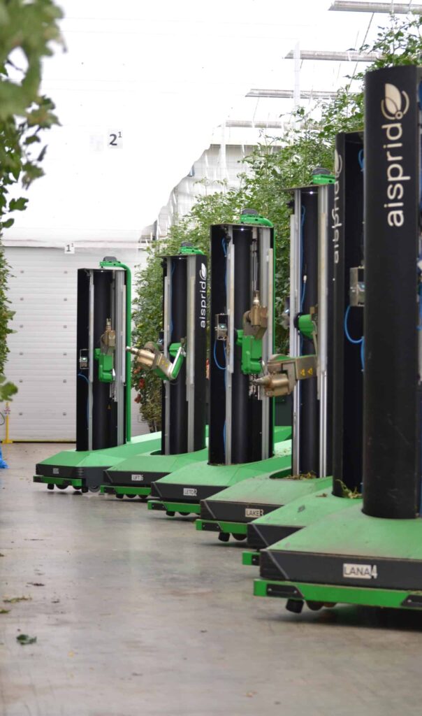 5 robots aisprid qui travaillent ensemble