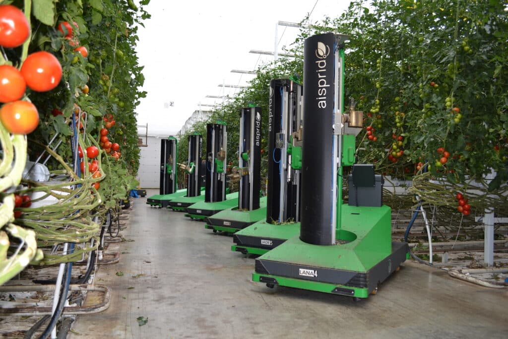 6 Aisprid deleafing robots in high tech greenhouse